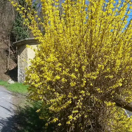 Фермерский дом Cheti Spigno Monferrato