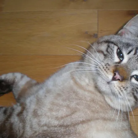 ファームステイ Cheti *