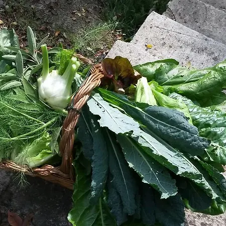 Cheti Фермерский дом *