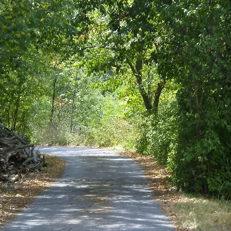Cheti Farma Spigno Monferrato
