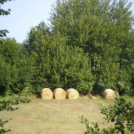 Фермерский дом Cheti