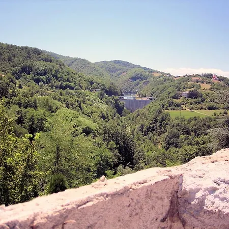 Cheti ファームステイ *