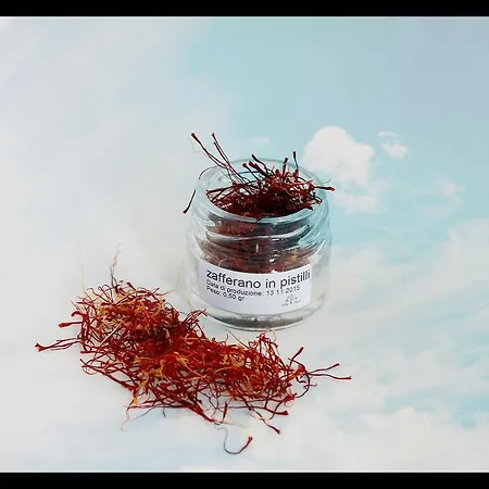 Farma Cheti Spigno Monferrato