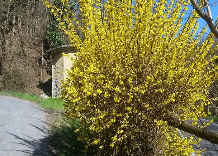 Gospodarstwo agroturystyczne Cheti Spigno Monferrato