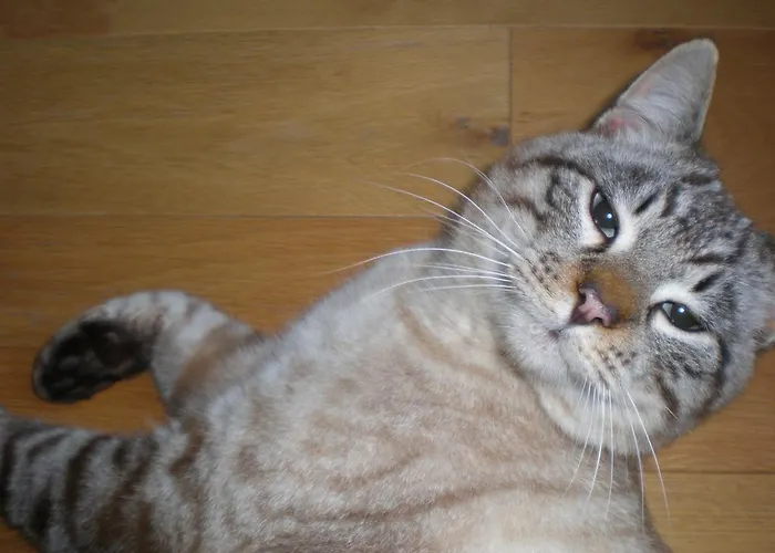 ファームステイ Cheti *