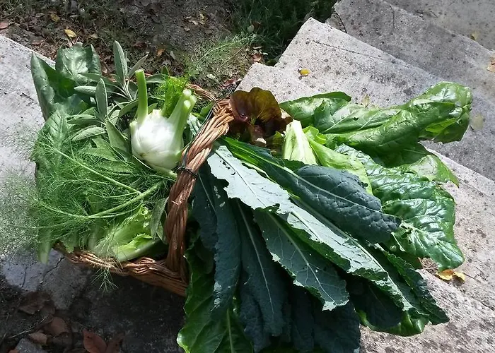 Cheti Gospodarstwo agroturystyczne *